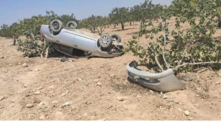 Şanlıurfa'da otomobil fıstık ağaçlarına çarptı