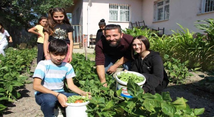 Yunus Emre öğretmen, okulda öğrencileriyle yetiştirdiği sebzelerini sütle besliyor