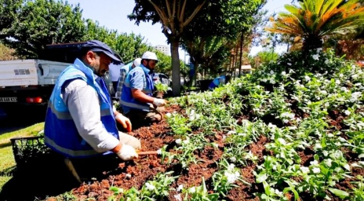 Eyyübiye parkları çiçekleniyor