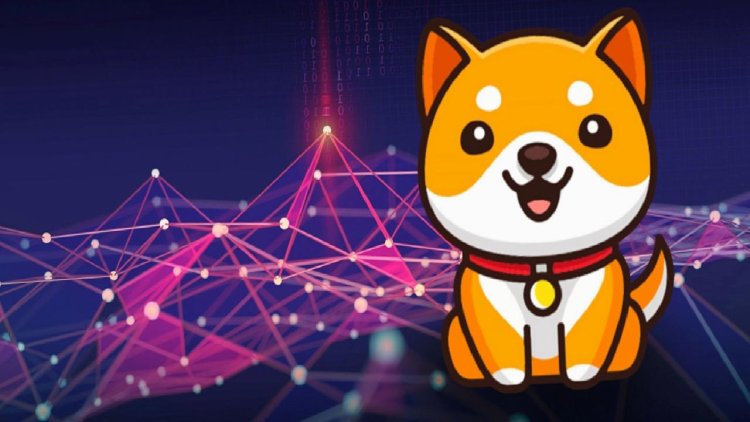 Baby Doge Testnet için Son Hazırlıklar