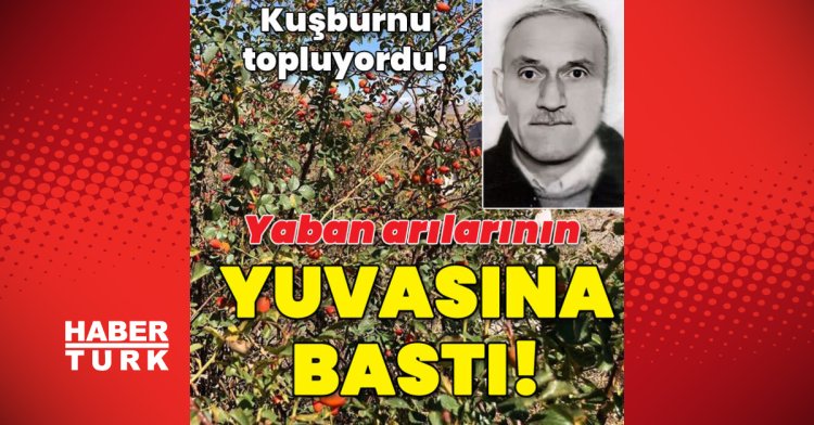 Kuşburnu topluyordu! Yaban arılarının yuvasına bastı!