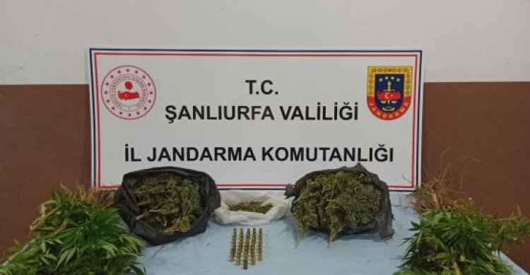 Şanlıurfa Jandarmadan uyuşturucu operasyonu