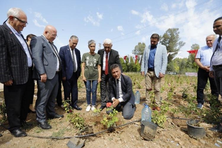 Muğla’da ‘tıbbi bitkiler’ bahçesi hizmete açıldı