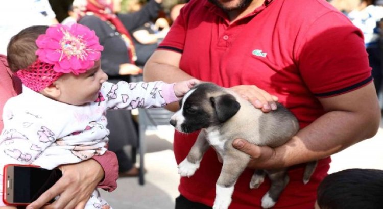 Gaziantep uygulaması ile puanını tamamlayanlara mama verildi