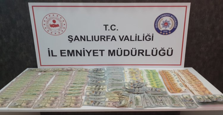 Şanlıurfa&#039;da çok sayıda dolar, euro ve para ele geçirildi!