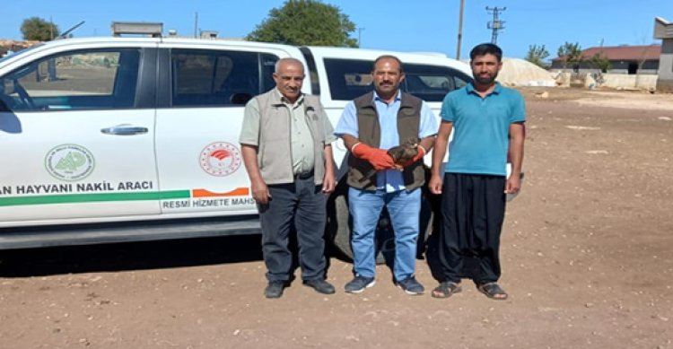 Şanlıurfa&#039;da DKMP ekiplerine teslim edildi