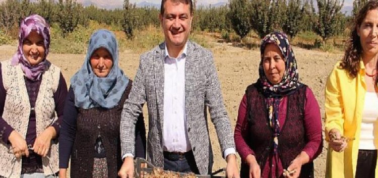 Başkan Muhittin Böcek’in yerelden kalkınma hamlesi adım adım ilerliyor