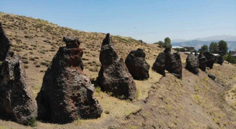 Asırlık Nemrut Develeri yok olma tehlikesiyle karşı karşıya