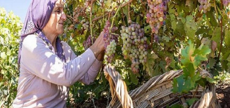 Gizemli Krallık Kommagene’nin Sırlarının İzinde Bir Keşif Şöleni