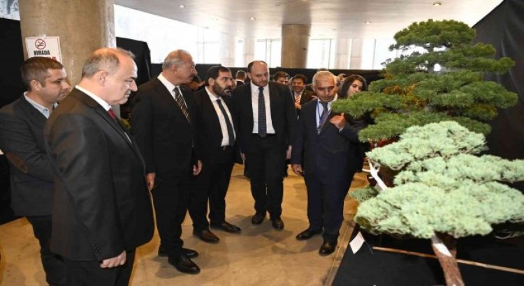 Türkiyenin ilk Ulusal Bonsai Sergisi Yalovada açıldı