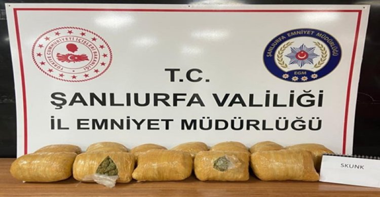 Şanlıurfa&#039;da skunk ele geçirildi