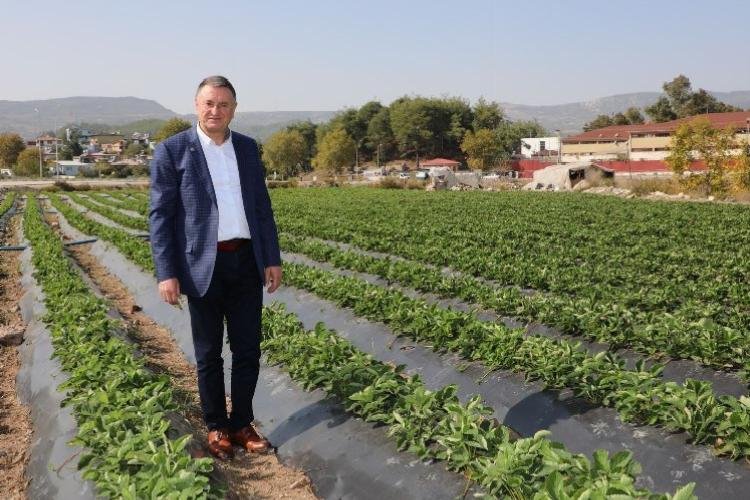 Lider Savaş: “Hatay’da tüm uğraşımız çiftçimiz toprağını bırakmasın diye”