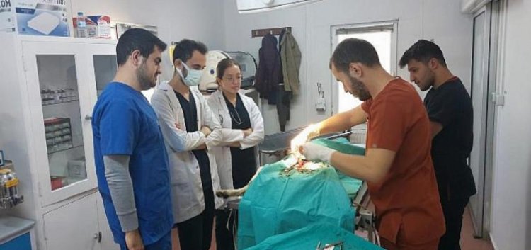 Veteriner doktor adaylarına uygulamalı eğitim