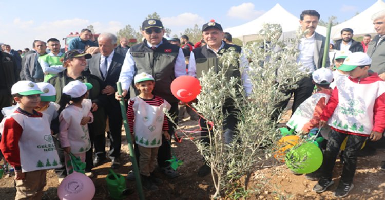 Şanlıurfa’da binlerce fidan toprakla buluştu