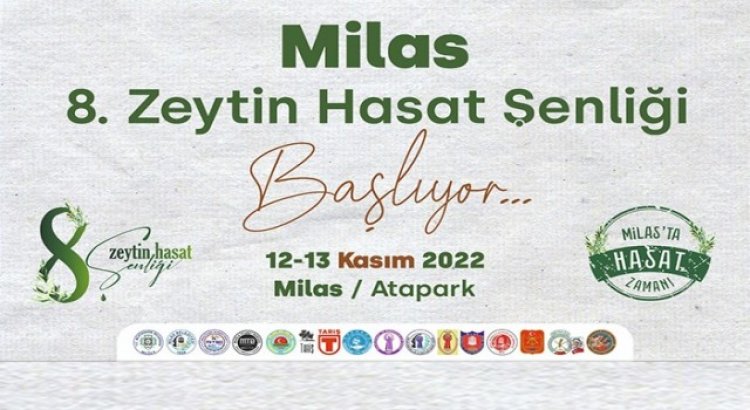 Milasta bu hafta sonu zeytin hasat şenliği düzenlenecek