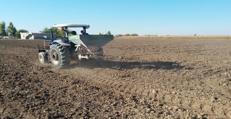 Şanlıurfa&#039;da Buğday mesaisi başladı