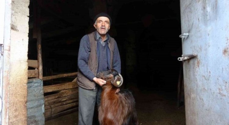 Kilisenin sahipleri: “Babamızdan miras kalan kilise tapulu malımızdır, burası tescili bir yapı olduğu için yıkamıyoruz