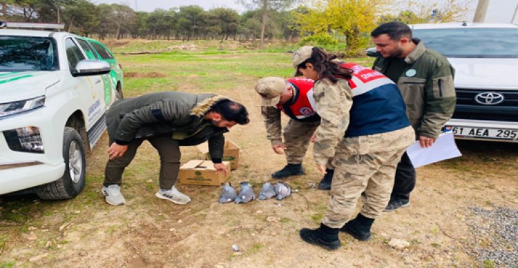 Şanlıurfa’da HAYDİ timi tarafından yakalandılar!