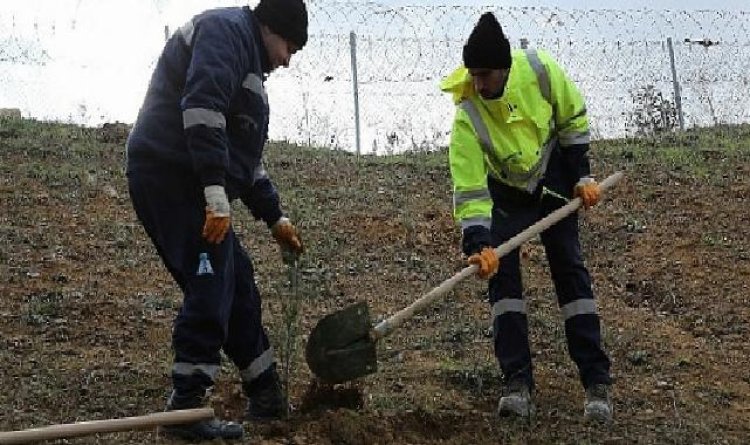 TEM’in Gebze güzergâhında yeşil seferberlik