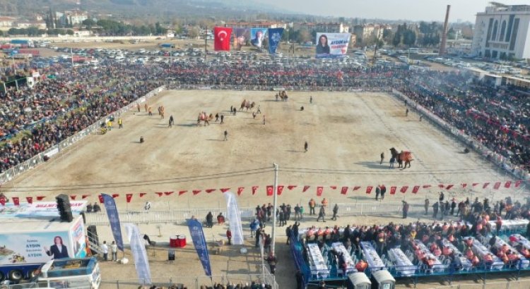 Aydında 160 deve kıran kırana güreşti