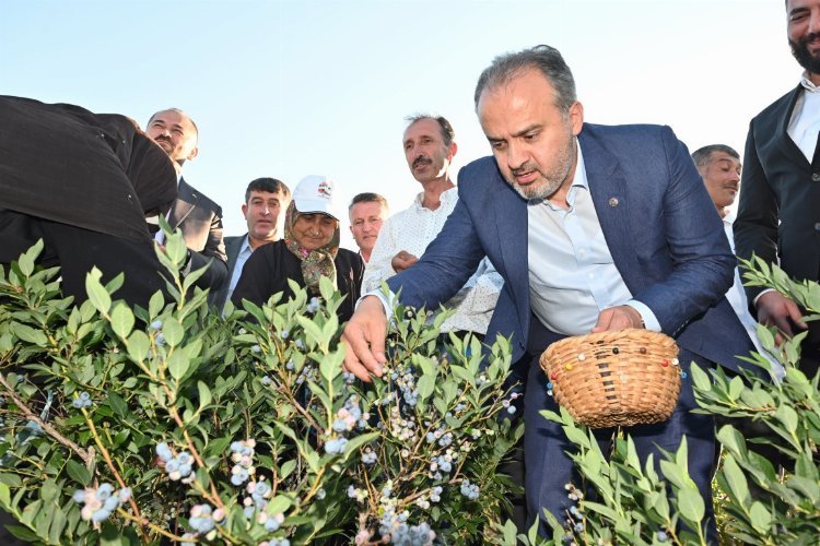 Bursa Büyükşehir tarlada üreticiye nefes oldu