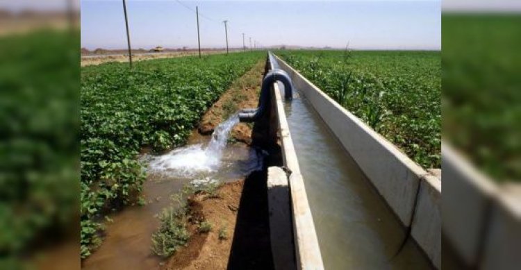 Harran Ovası’nda 100 Bin Dekar Tarım Alanı Betonlaştı