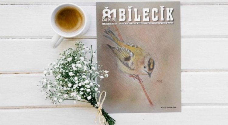 Çalıkuşu Bilecik dergisinin kapak tasarımı 11inci sınıf öğrencisi yaptı