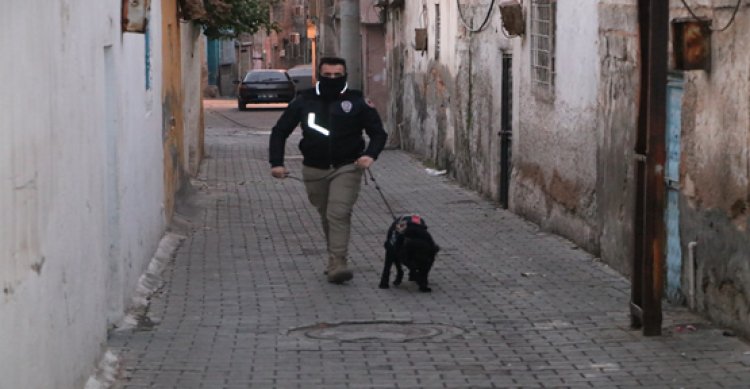 Urfa’da ‘torbacı’ operasyonu, çok sayıda gözaltı