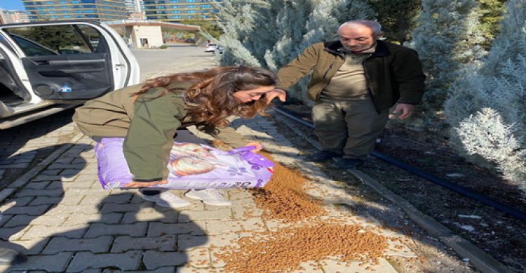 Şanlıurfa’da Sokak hayvanları unutulmadı!