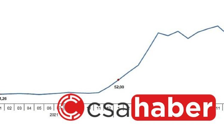 Tarım ürünleri üretici fiyat endeksi (Tarım-ÜFE) yıllık %142,84, aylık %11,08 arttı