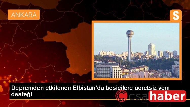 Depremden etkilenen Elbistan’da besicilere ücretsiz yem desteği