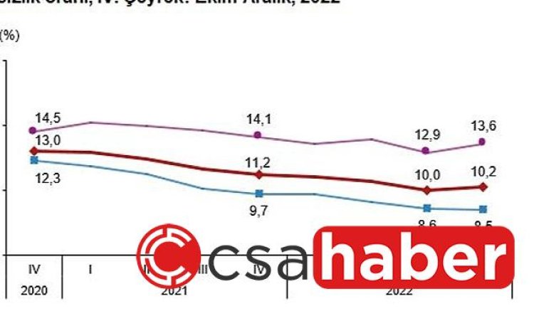 Mevsim etkisinden arındırılmış işsizlik oranı %10,2 seviyesinde gerçekleşti