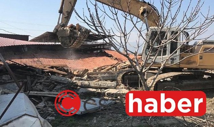 Depremde Telef Olan Hayvanlar Hastalık Riskine Karşı Gömüldü