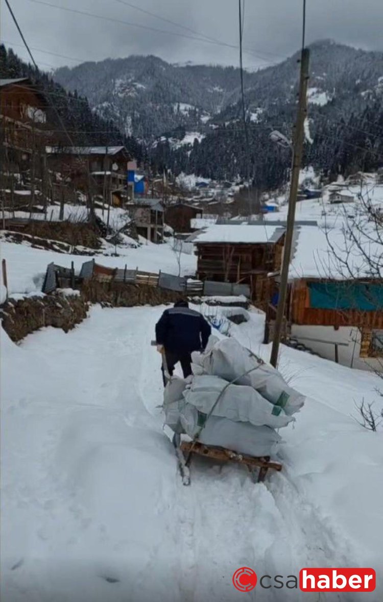 Odunları kızaklarla indirip depremzedelere gönderdiler