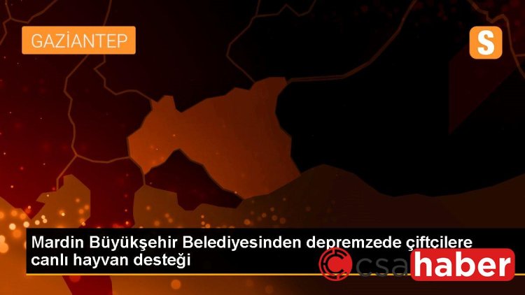 Mardin Büyükşehir Belediyesinden depremzede çiftçilere canlı hayvan desteği