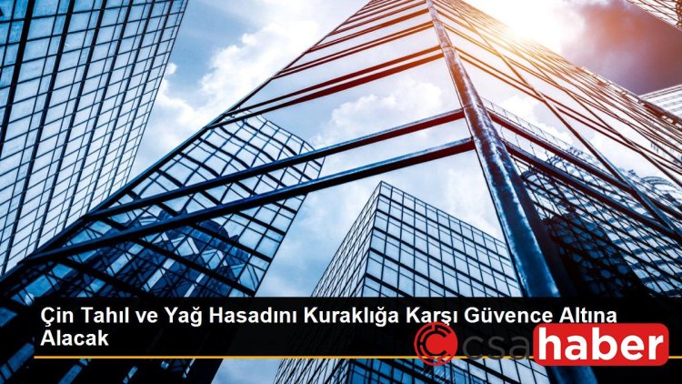 Çin Tahıl ve Yağ Hasadını Kuraklığa Karşı Güvence Altına Alacak