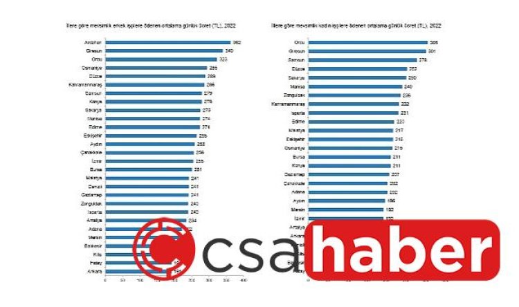 TÜİK: Mevsimlik tarım işçilerinin ortalama günlük ücretleri 2022 yılında %87,1 arttı