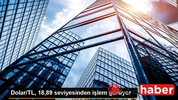 Dolar/TL, 18,89 seviyesinden işlem görüyor