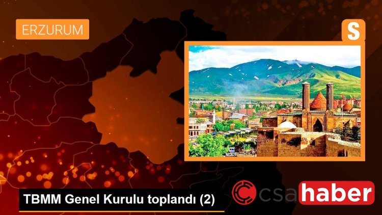 TBMM Genel Kurulu toplandı (2)