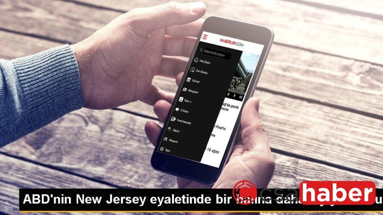 ABD’nin New Jersey eyaletinde bir balina daha kıyıya vurdu