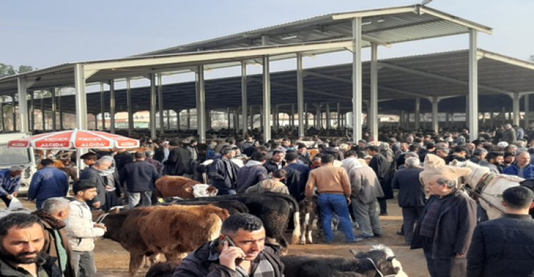 Urfa’da hafta bir gün bir başka