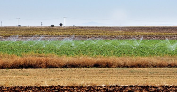 Şanlıurfa’da enerji ile sulama yapan çiftçilere enerji verildi