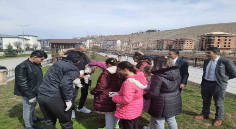 Öğrenciler sokak hayvanlarını unutmadı