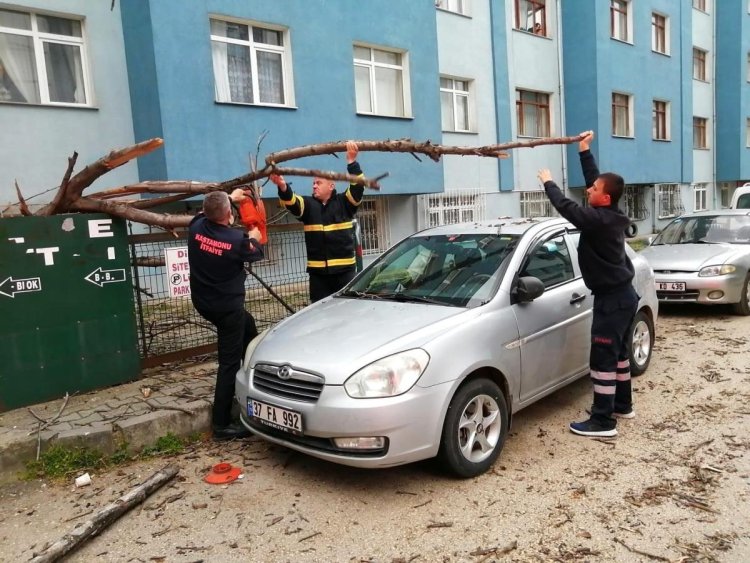 Devrilen ağaç park halindeki otomobilin üstüne düştü