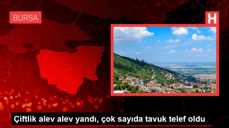 Çiftlik alev alev yandı, çok sayıda tavuk telef oldu