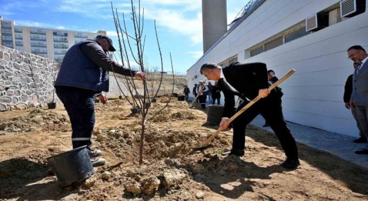 Mesai arkadaşlarından kızı vefat eden öğretim üyesine vefa: Kampüste meyve bahçesi oluşturdular