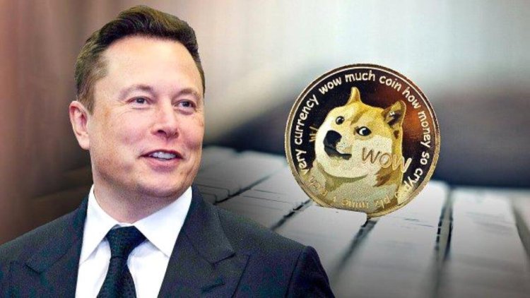 Twitter Dogecoin logosu nedir? Doge logosu nedir, anlamı ne? Twitter’ın yeni logosu Doge coin nedir?