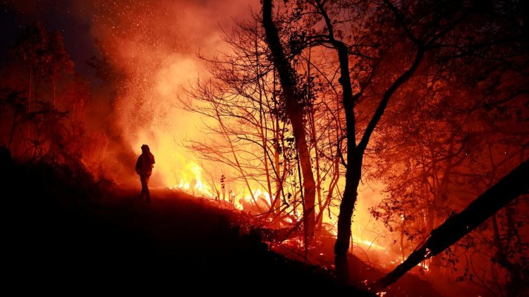 İspanya’nın kuzeyindeki orman yangınları 3 haftadır sürüyor
