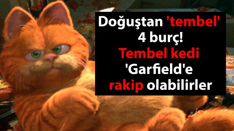 Doğuştan 'tembel' 4 burç belli oldu! Tembel kedi 'Garfield'e rakip olabilirler