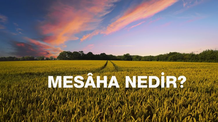 Mesâha nedir? Tapu işlemlerinde karşımıza çıkan Mesâha ne anlama gelir?